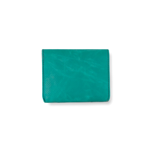 Load image into Gallery viewer, F558 LEONARD_00005
